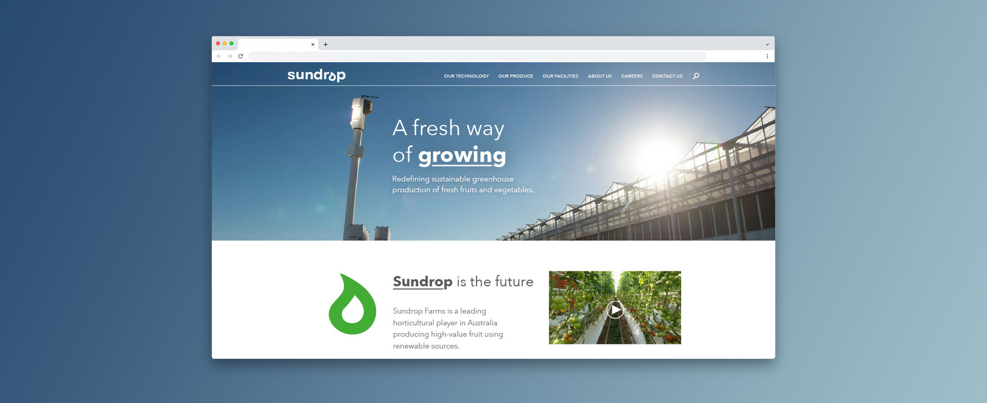 Sundrop website development
