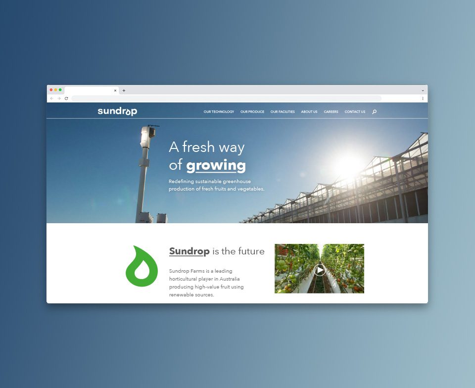 Sundrop website development Sundrop website development